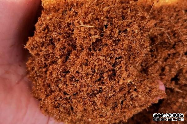 如何在大棚中種植有機蔬菜