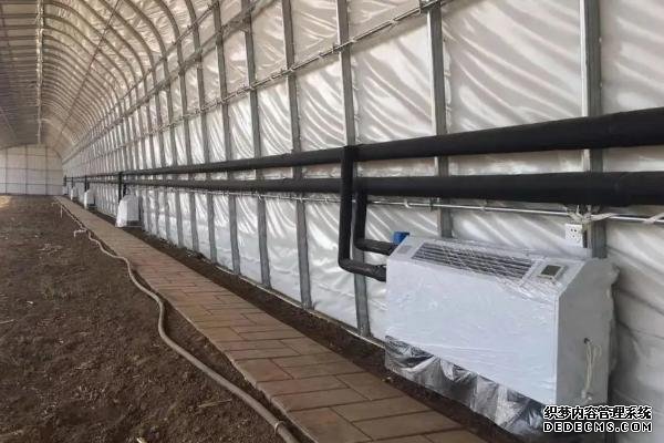 如何在大棚中種植有機蔬菜